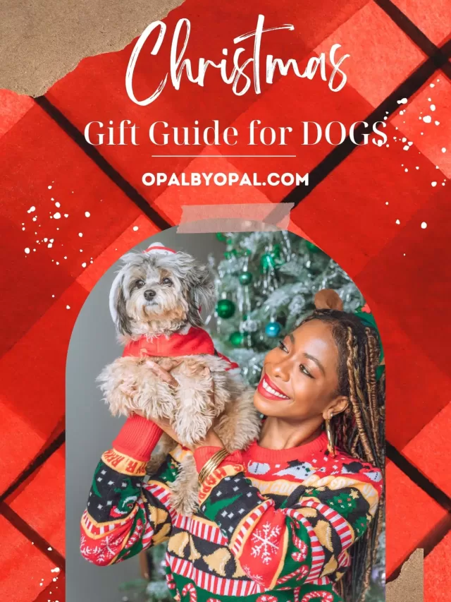 Christmas Gift Guide for Dogs