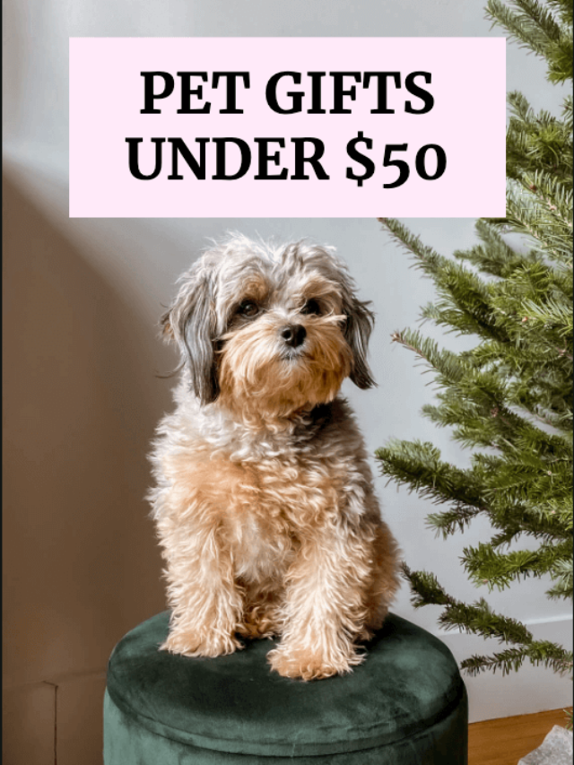 Pet Gifts Under $50